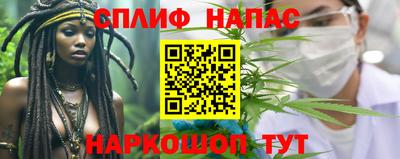 дмт Тверь