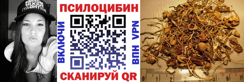 Псилоцибиновые грибы Cubensis  Острогожск 