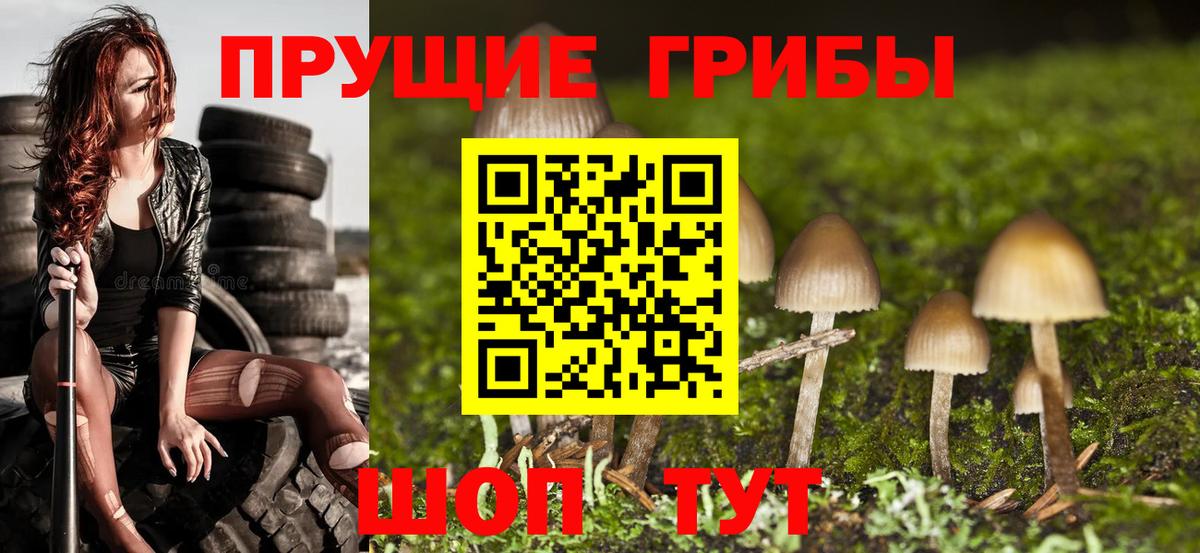 Острогожск  Псилоцибиновые грибы MAGIC MUSHROOMS  Вход с VPN  Галлюциногенные грибы ЛСД 
