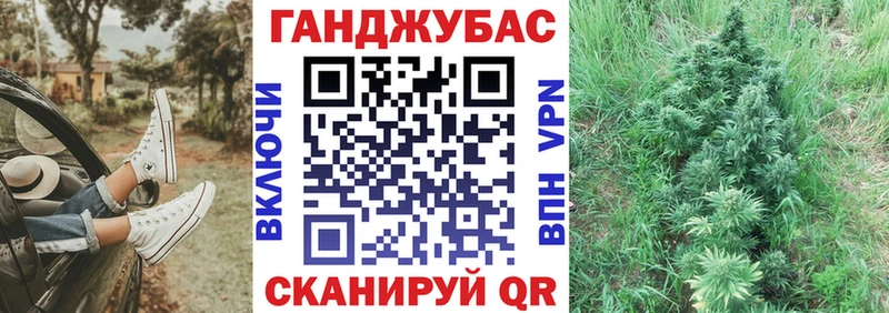 Бошки марихуана LSD WEED  как найти закладки  Острогожск 